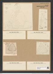 Triceratium radiatopunctatum A. Schm. (de-Toni-Nr.: Genus 140, Species 3925) Zeichnungen Sammlung Grunow Nr. 7413 (NHMW-BOT-W0376490)